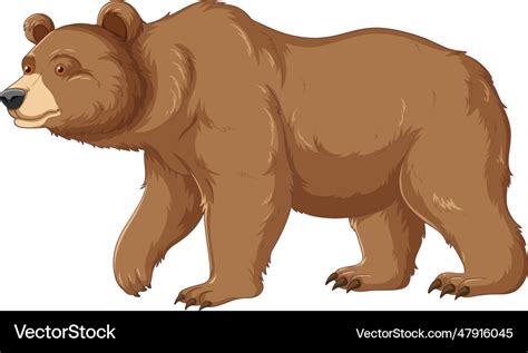 Grizzly bear cartoon Royalty Free Vector Image