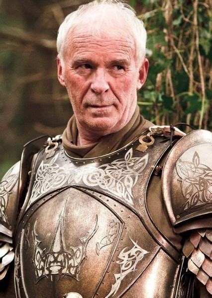 Barristan Selmy Fan Casting