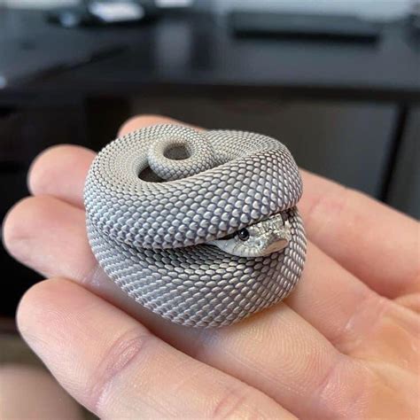 Cute snek : r/196