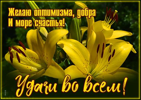 Открытка красивый букет лилий | Открытки Онлайн