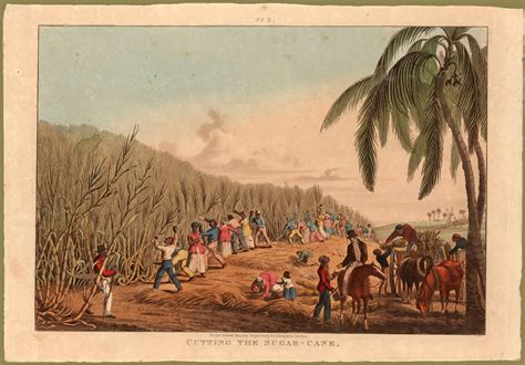 Janvier 1839 : La Martinique secouée ! | AZ Martinique