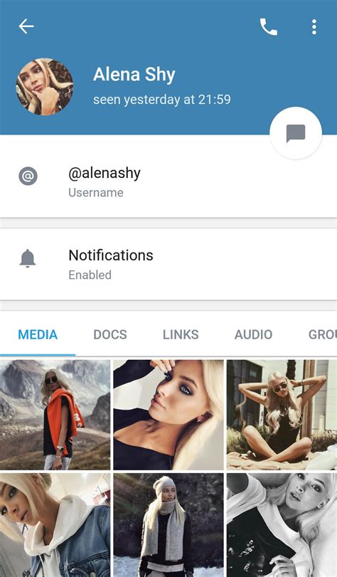 Telegram Blog