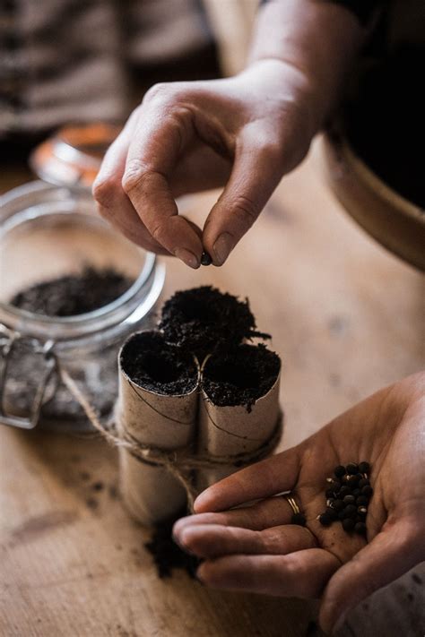 How to Grow Abundant Sweet Pea Flowers From Seed — Gather with Grace ...
