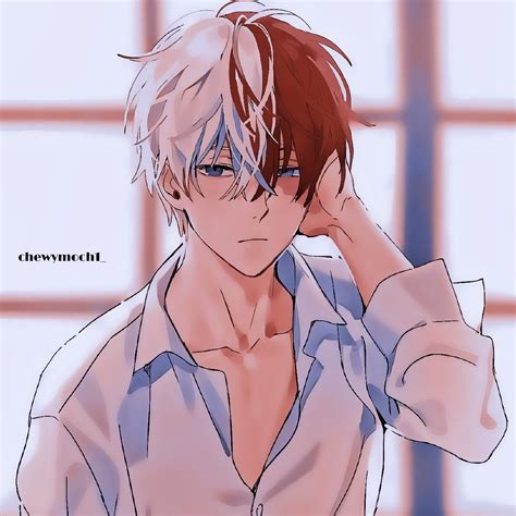 shoto todoroki artofit