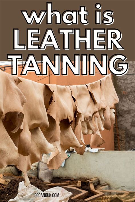 leather tanning  quick    leather making process