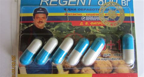 Регент от тараканов - состав, инструкция и отзывы покупателей