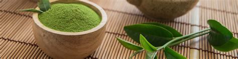 How to Make Matcha: A Beginner's Guide to Perfect Matcha Tea