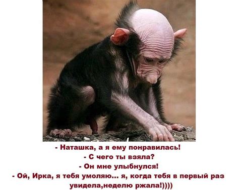 Только позитив и отличное настроение!!! ПРИСОЕДИНЯЙТЕСЬ!!!! | Шутки ...