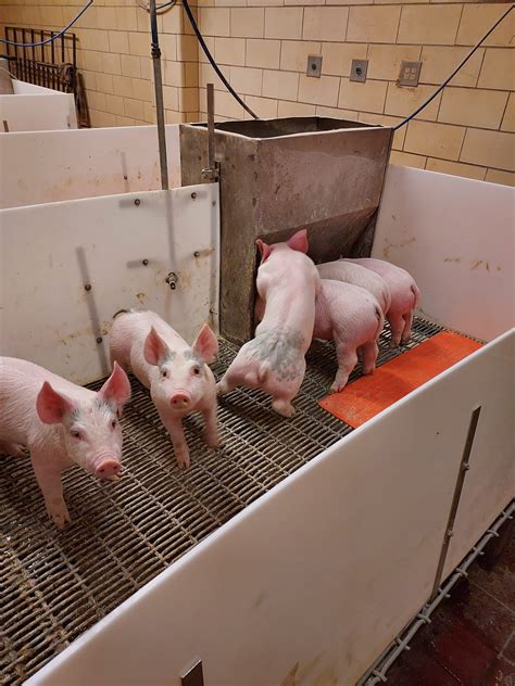 Cremation Services and Pre-Planning at Grandview 30