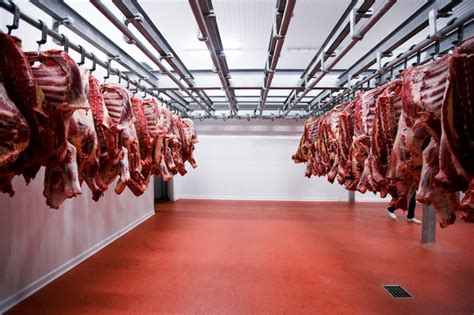 Premium Photo | A lot of half cow chunks fresh hung and arranged in a ...