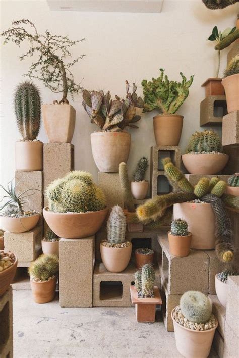 cactus  pot diy  morgan hamilton blog