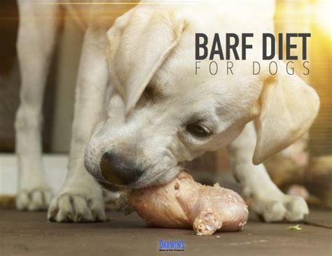 What is the BARF Diet for Dogs?