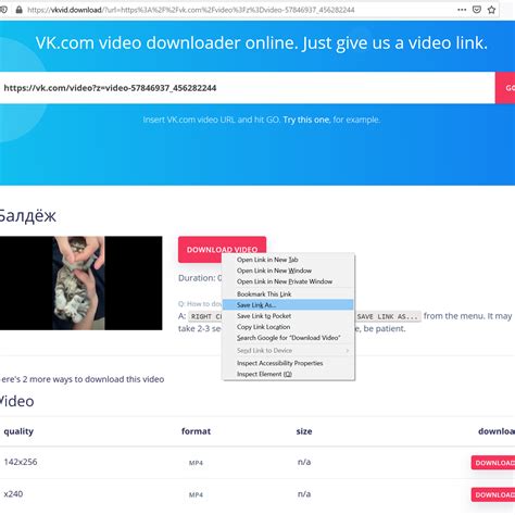 VK Video Downloader Alternatives and Similar Websites and Apps ...