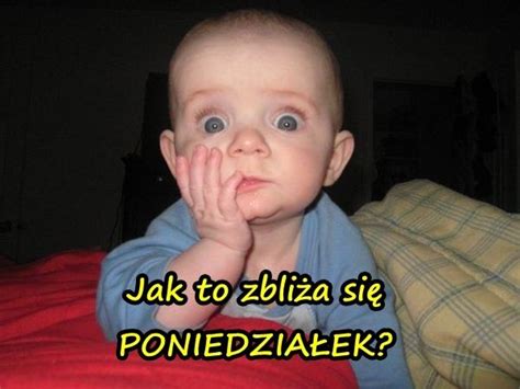 Strach - niedziela, przerażenie, śmieszne teksty, besty - xdPedia
