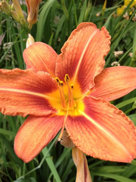 Seattle Chinese Garden