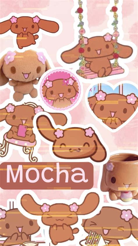 Download Sanrio Mocha Collage Wallpaper | Wallpapers.com