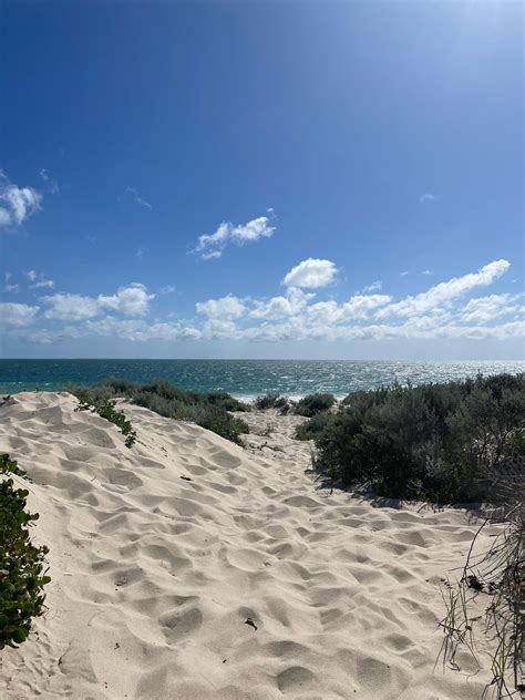 Back for some more Vit D : r/perth_nude_beach