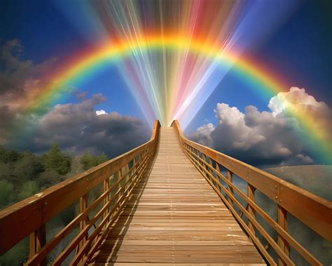 Rainbow Bridge Clouds Angel Wings Pet Loss Memorial Background Backdrop ...