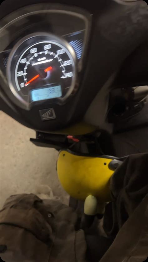 Diana Wiston | @imbunniemaiii //// #reels #nz #bunniemai #explorepage