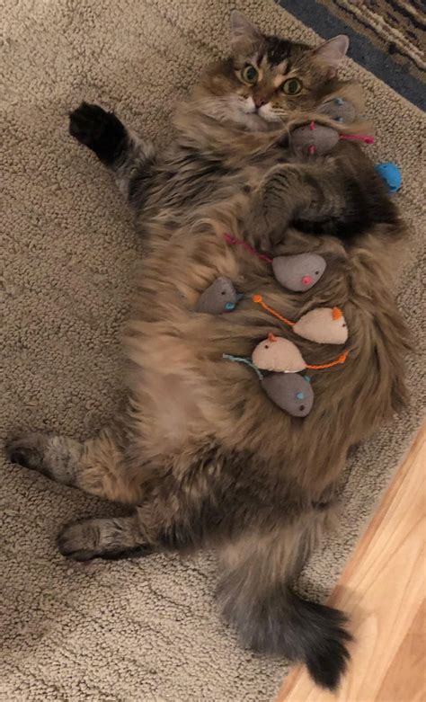 Discover Nearby Meetinghouses with Our Comprehensive Search Tool 3