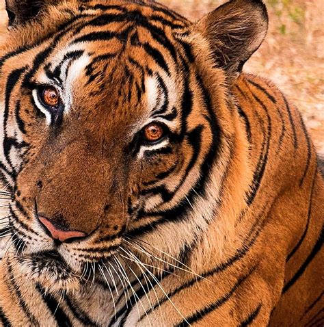 10 Best India Tours & Trips from New Delhi - TourRadar