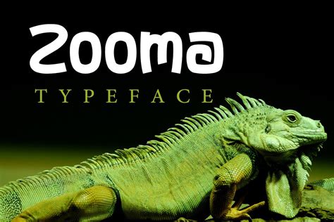 Zooma Font | 1001 Free Fonts