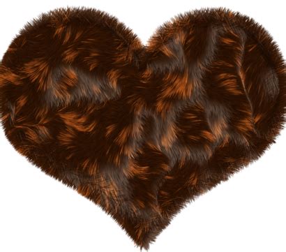 calico fur png transparent images   vector files pngtree
