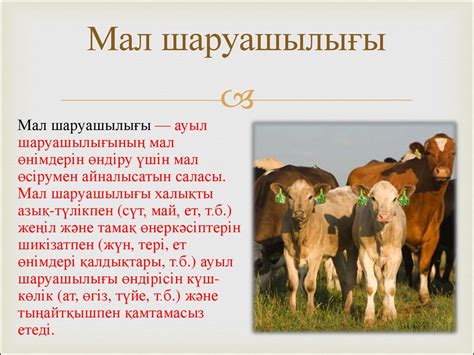 Мал шаруашылығы - презентация онлайн