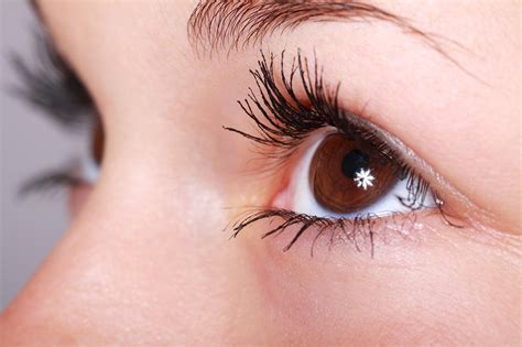 200,000+ Free Woman Eyes & Eye Images - Pixabay