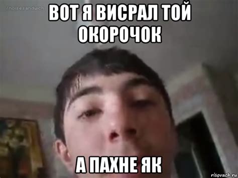 вот я висрал той окорочок а пахне як, Мем Вот я нажарив себе окорочок ...