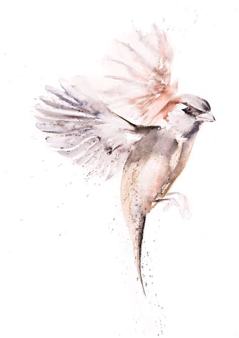 Just a Sparrow Painting - Sparrow Watercolour - Hand Signed Numbered Embossed Limited Edition ...