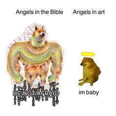 13 Angels Memes ideas | memes, funny memes, know your meme