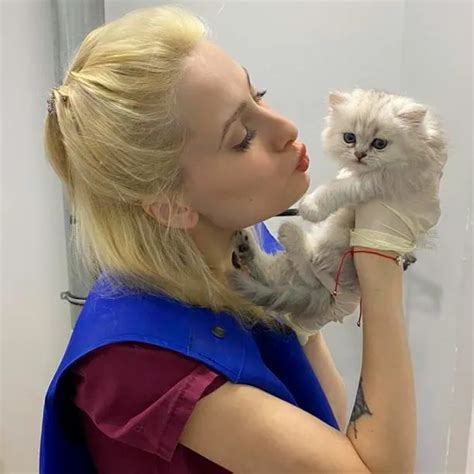 Ветеринарная клиника в Раменское | 10-я жизнь