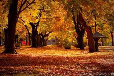 Indian Summer Wallpapers - Top Free Indian Summer Backgrounds