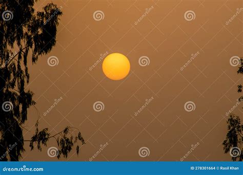 Evening Sunset, Red Boll Silhouette Photography Background Stock Photo ...