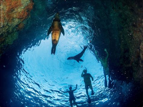 top  beautiful snorkeling destinations snorkeling report