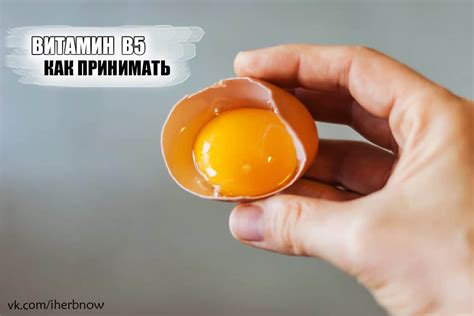 Сравнение витамина В5 в форме пантотеновая кислота и пантетин