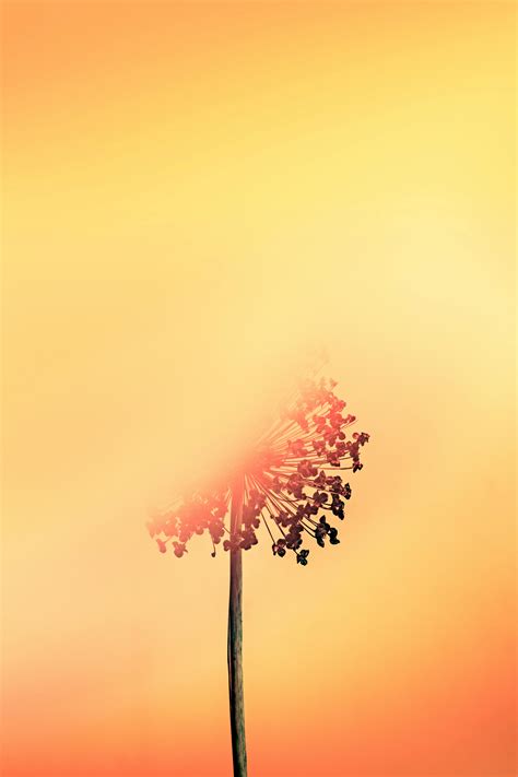 Cómo Reclamar Indemnización Por Accidente: Guía Esencial Para Tu