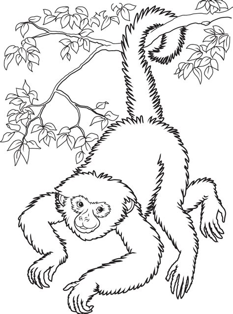 Funny monkey drawing