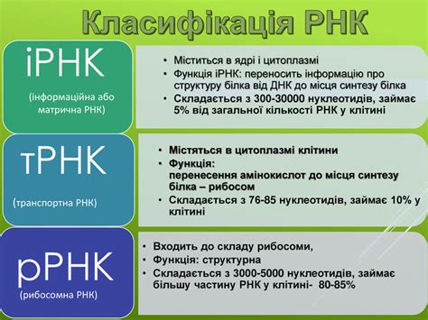 Презентація "Нуклеїнові кислоти"