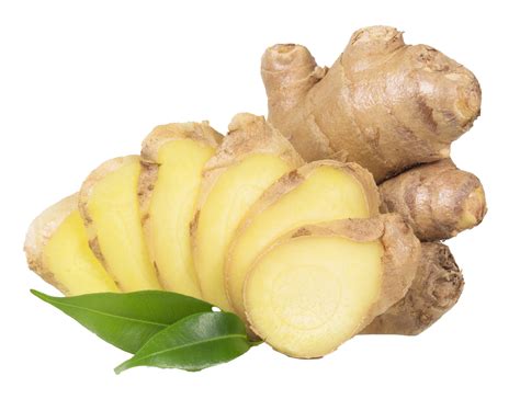 ginger plant herbal element natural decor transparent png
