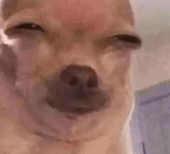 ummmm meme ummmm discover share gifs