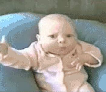 funny gifs thread  dogs breakfast bomberblitz
