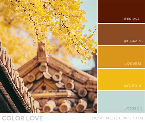 color love yellow brown   courses central