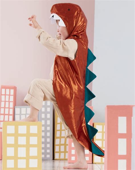 meri meri costume
