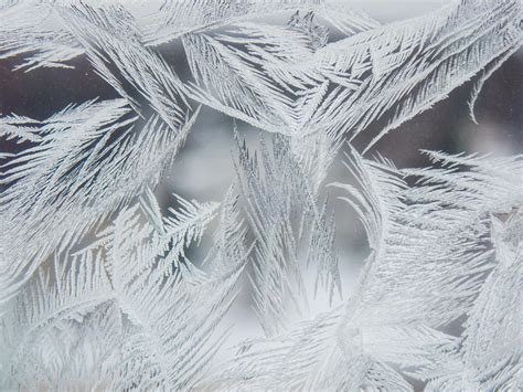 Frost at 0 Fahrenheit : r/MacroPorn
