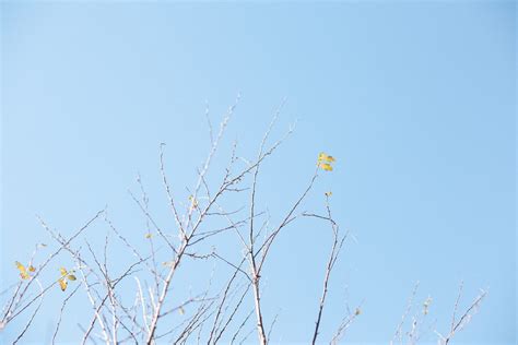 making space in spring - Practising Simplicity