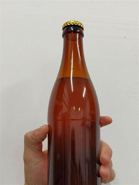 Пивоварня ПВК Gambrinus (Гамбринус) — король среди пивоварен!