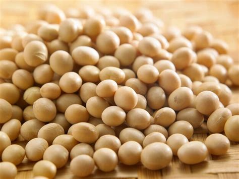 premium photo close   soybeans
