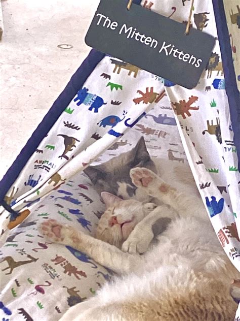 The bubbas restaurant dallas owner used to be a movie star 13